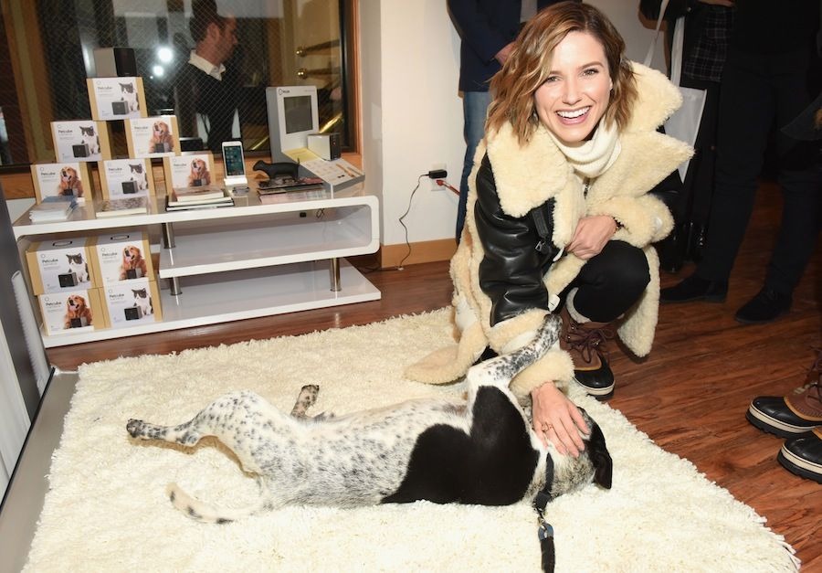 Sophia Bush · Actress